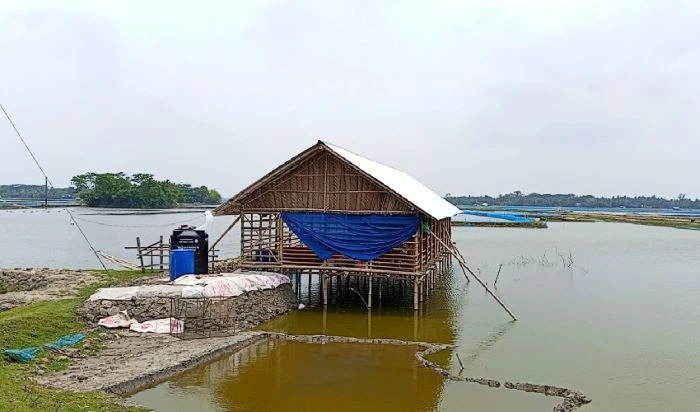 চিংড়ির রেণু সংকটে বিপাকে দক্ষিণ-পশ্চিমের চাষিরা